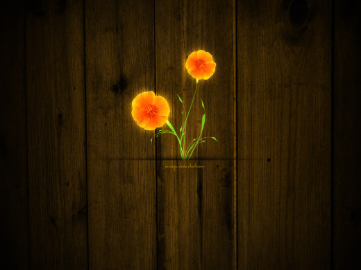 19676 (a): :1600x1200